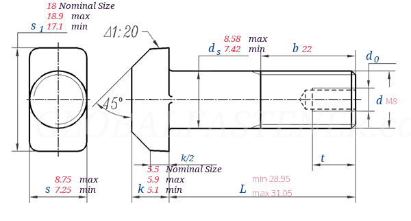 DIN  261 -  2010 T-head bolts with hole